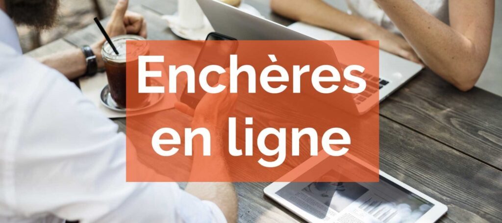 Comment fonctionnent les ventes aux enchères en ligne ?